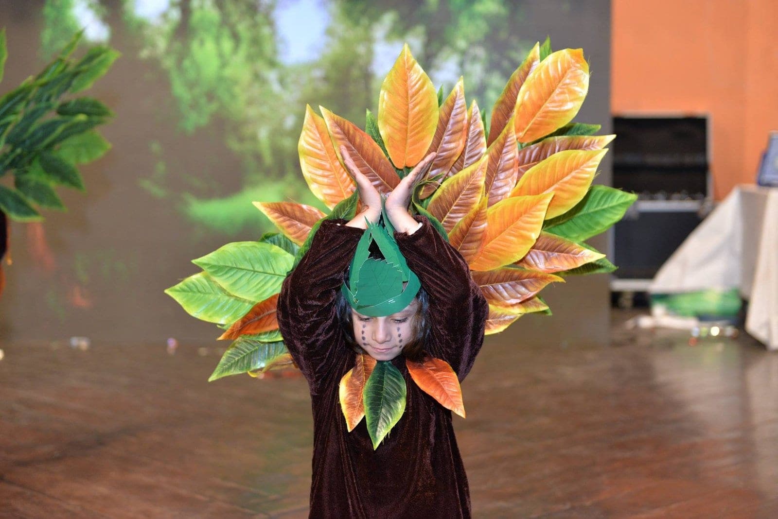Forest Conservation Awareness